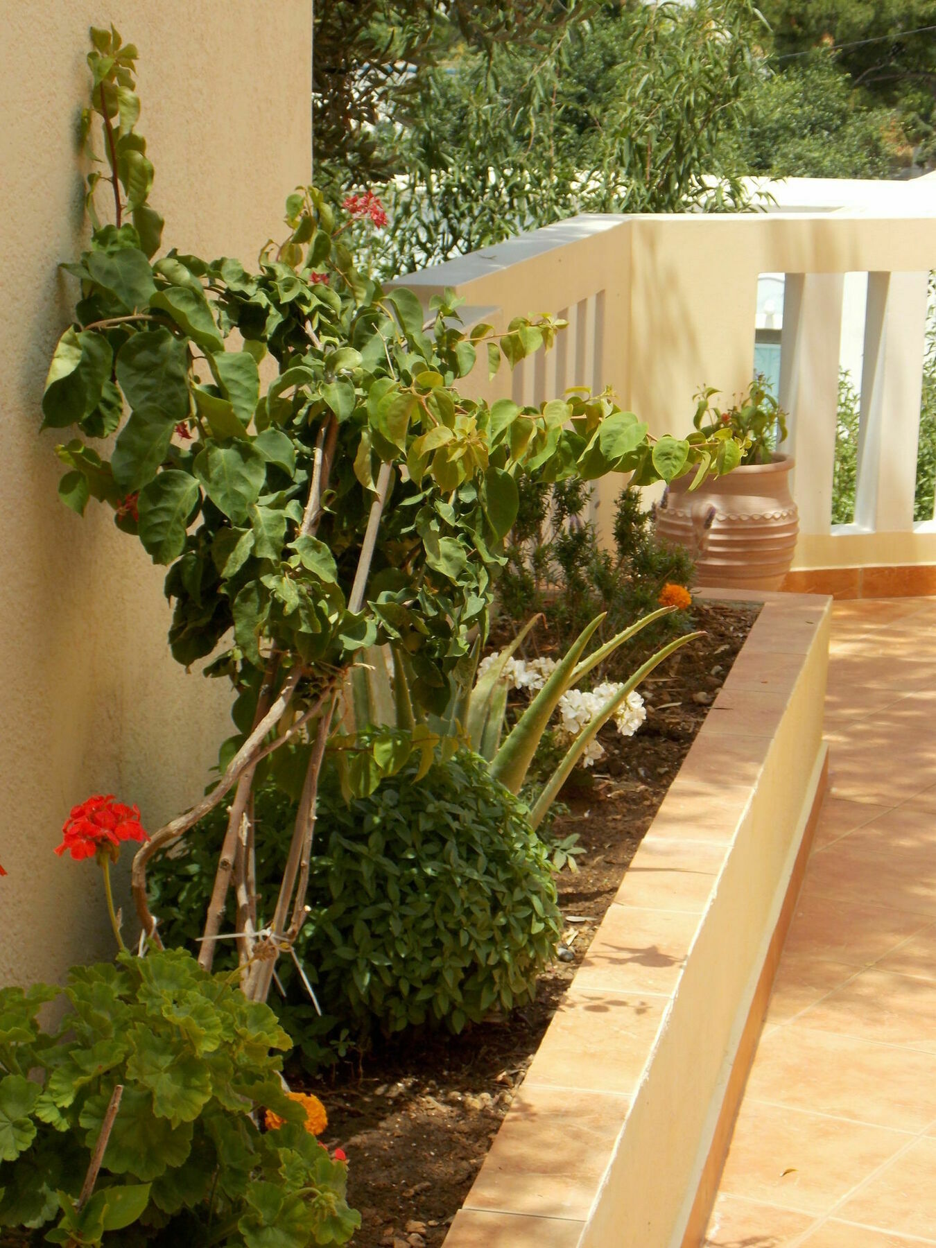 Myrties Boutique Apartments Masouri Eksteriør billede